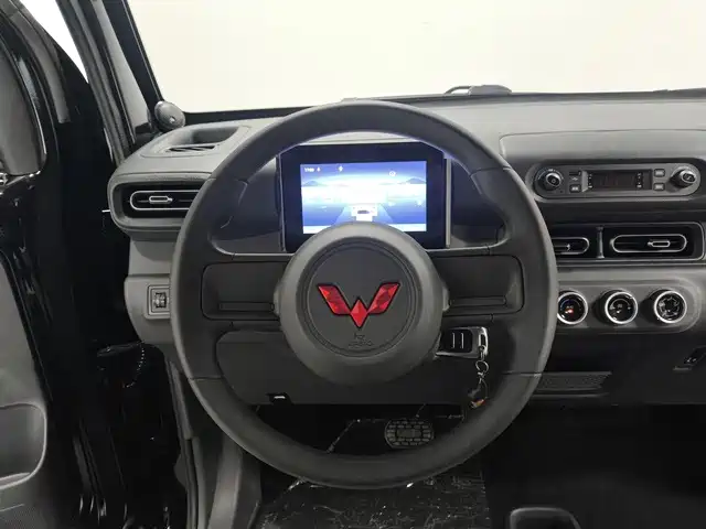 Wuling Motors Wuling Zhiguang NEV 2025 2025 Model 305km Base Version