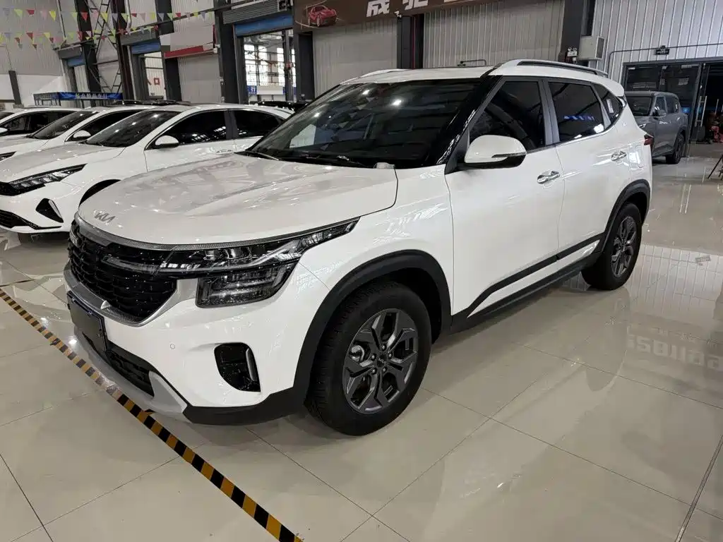 Kia Seltos 2023 — пригон из Китая