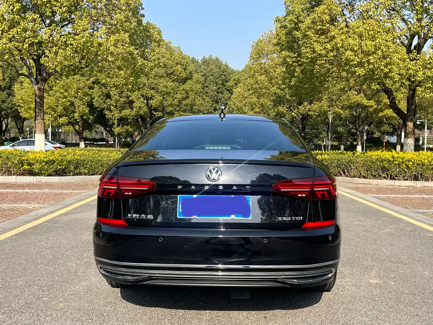 Volkswagen Passat 2019 330TSI Elite Version China VI фото 5
