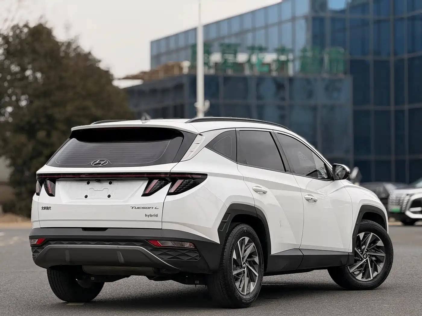 Hyundai Tucson 2022 Tucson L 2.0L Hybrid Premium Edition фото 6
