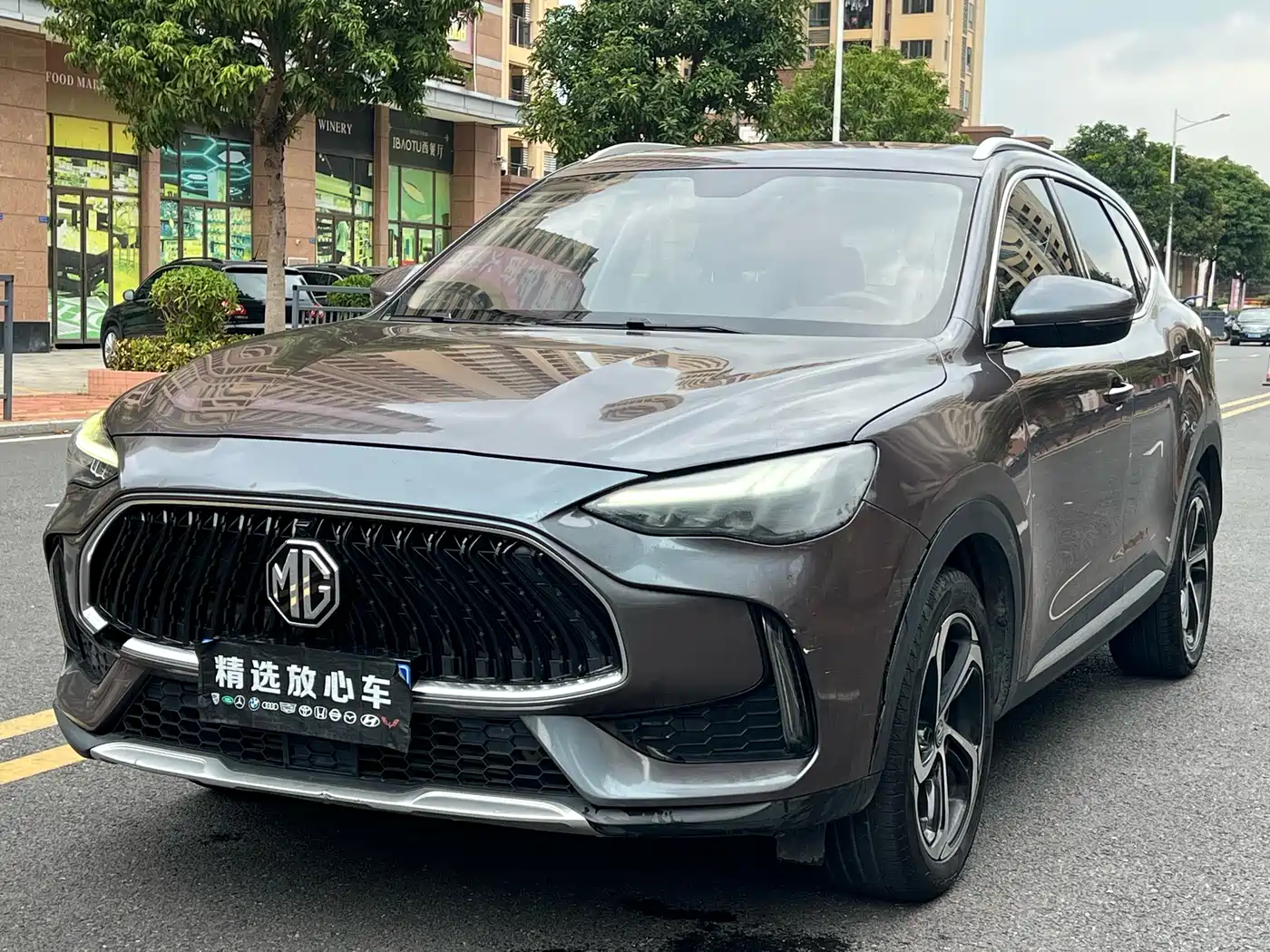 MG Pilot 2021 300TGI Automatic 2WD Randong Luxury Edition