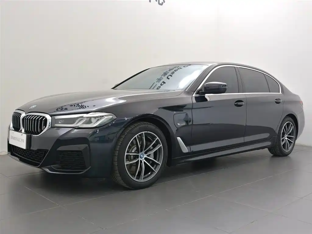 BMW 5 SERIES NEW ENERGY