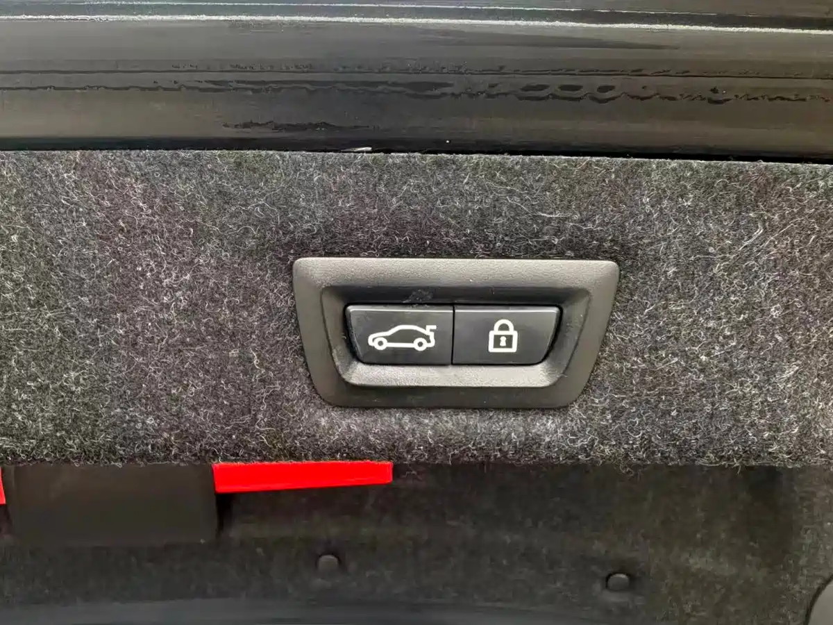 BMW 5 Series 2020 530Li Leading Luxury Package фото 8