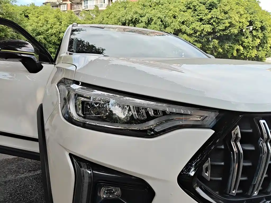 Haval Chitu 2021 2021 Turbo Edition 1.5T Golden Rabbit