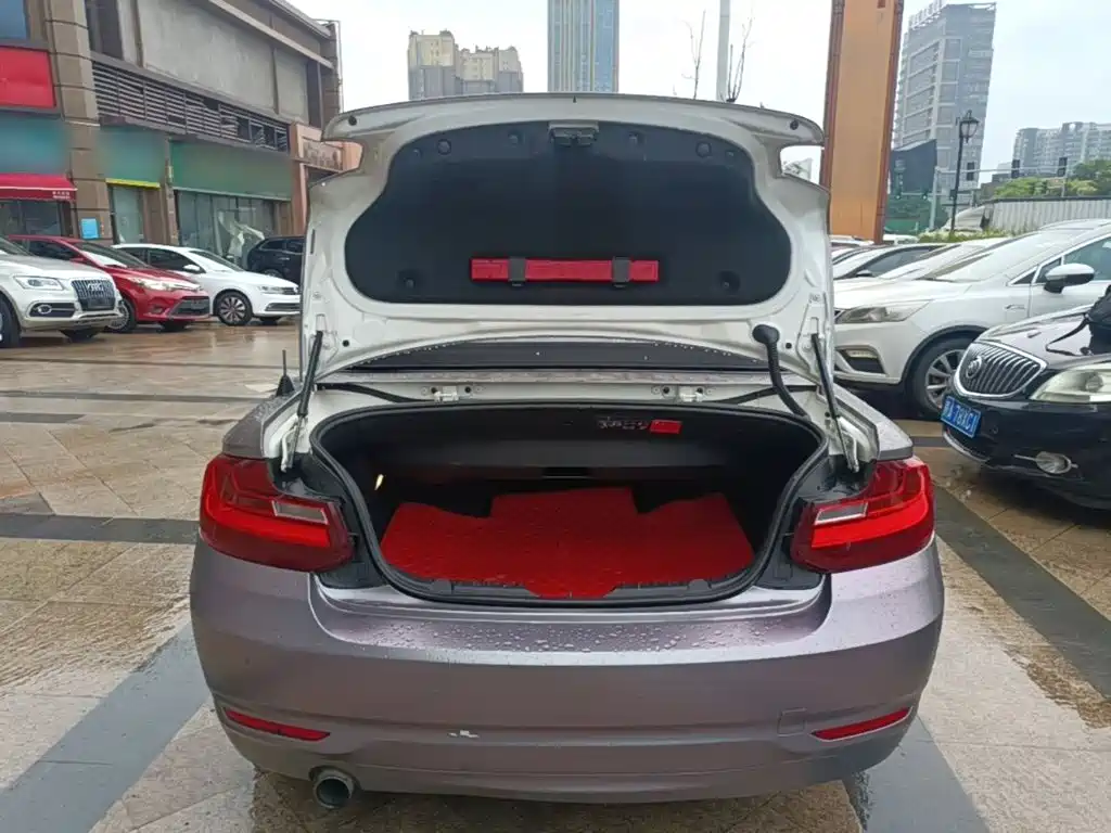Photo 19 - BMW 2 Series (Import)