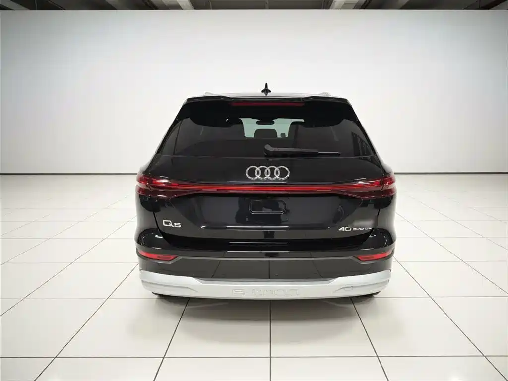 Audi Q5 e-tron 2022 40 e-tron Starlight Edition Brocade Package фото 6