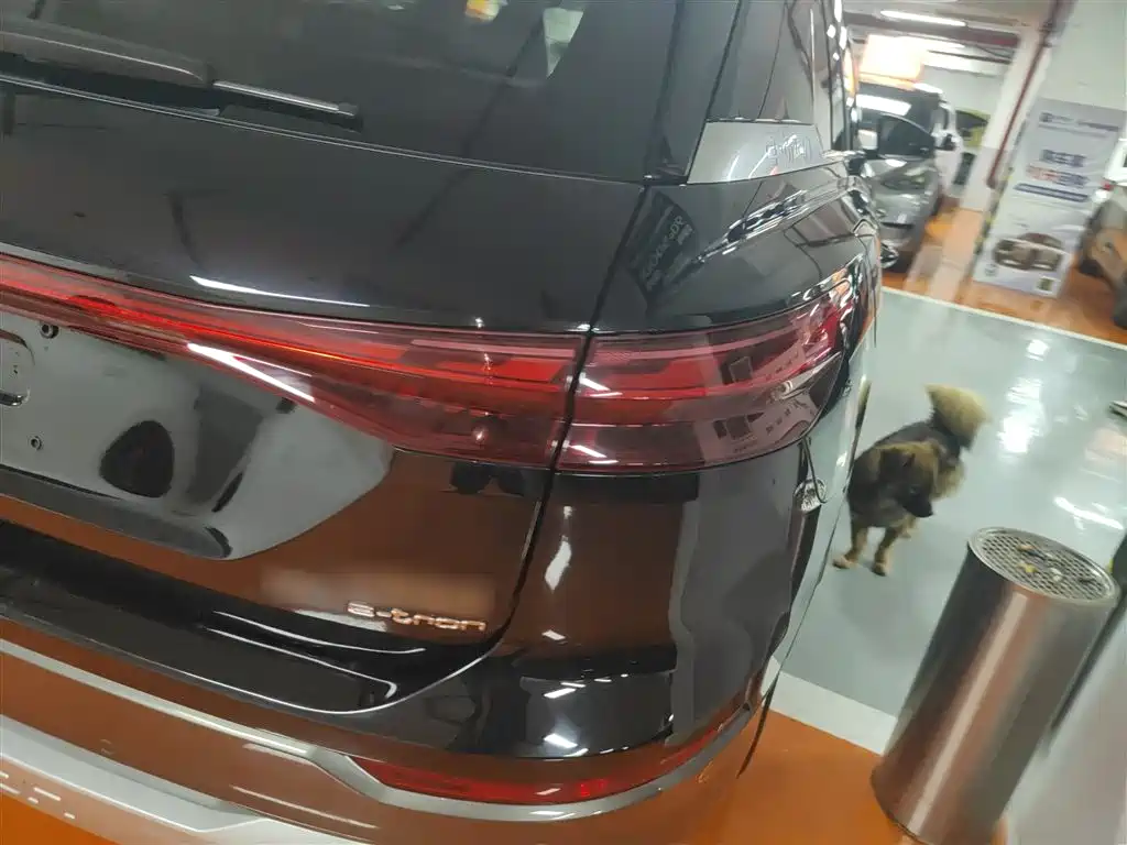 Audi Q5 e-tron 2022 40 e-tron Starlight Edition Brocade Package фото 8