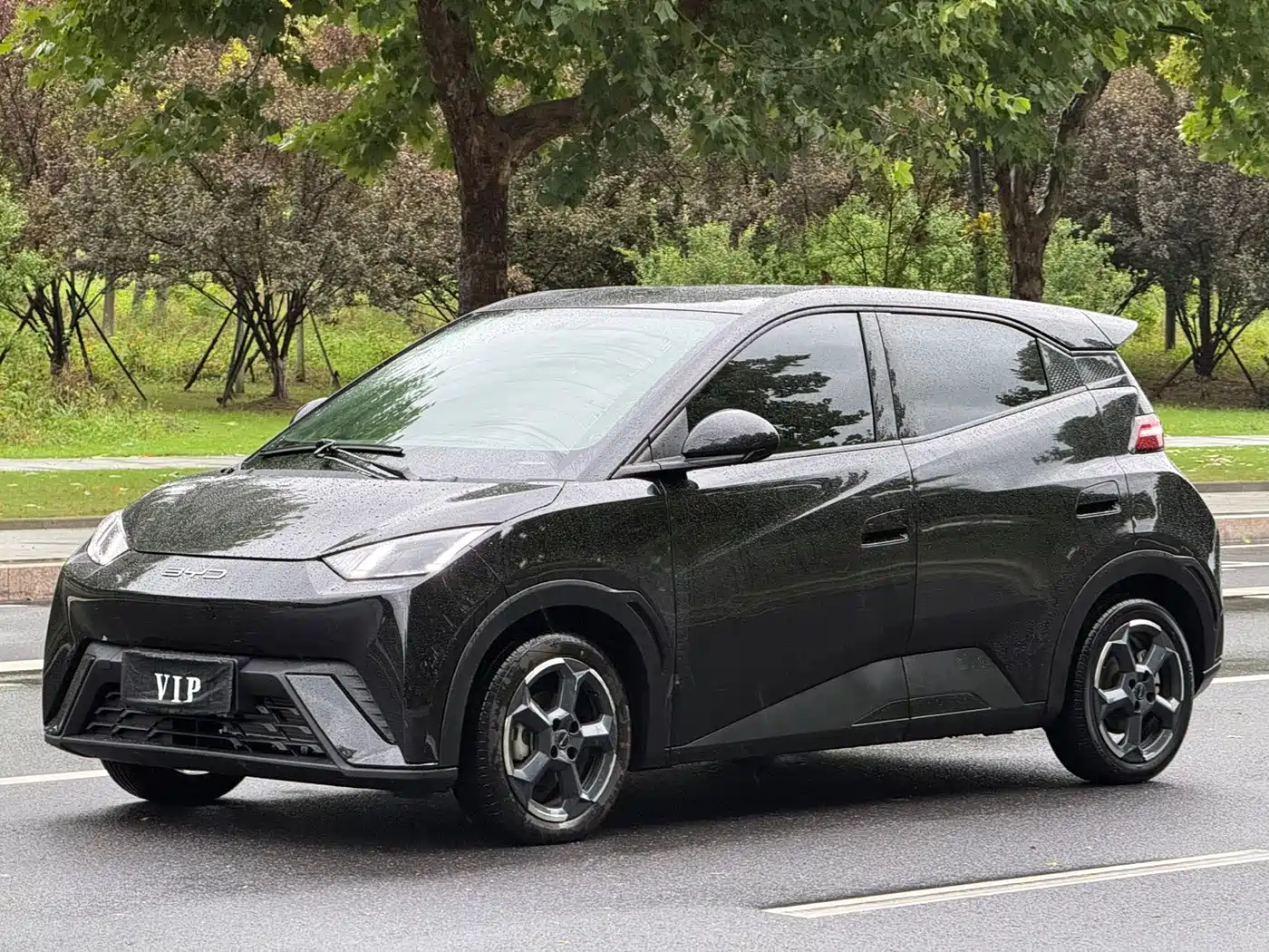 BYD Seagull 2024