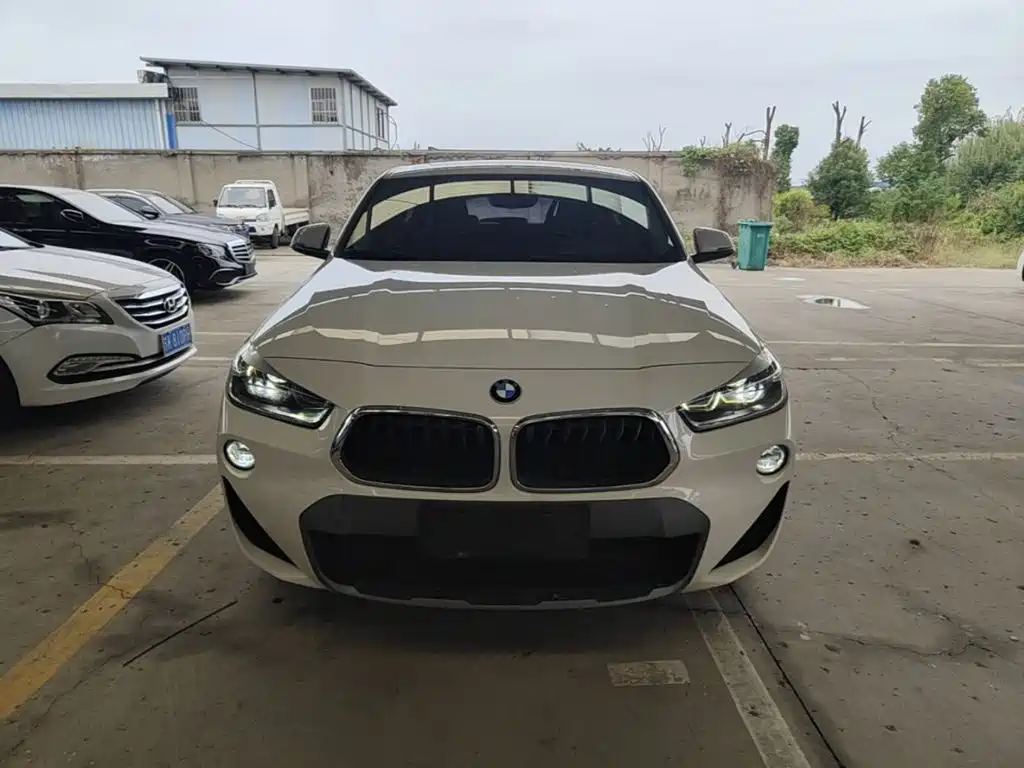 BMW X2 (Import) 2019 2019 sDrive20i M Off-Road Package China VI