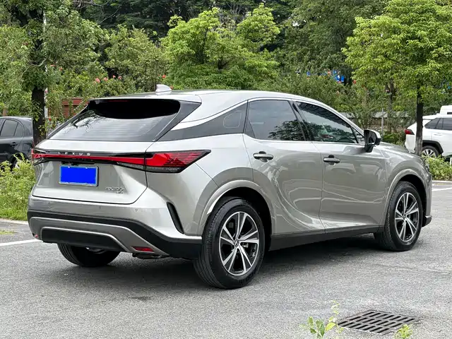 Lexus RX 2025 300 4WD Premium Edition — фото 4