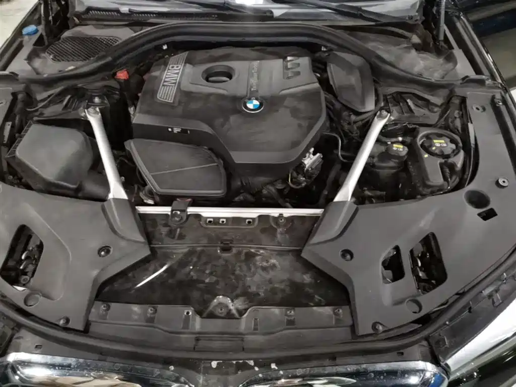 BMW 5 Series 2018 525Li Luxury Package фото 20