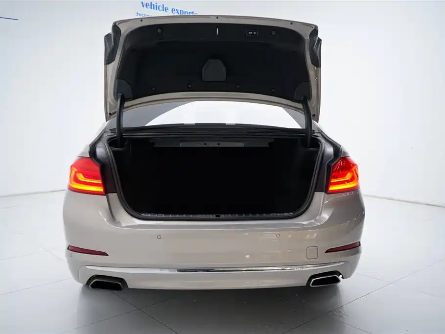 BMW 5 Series 2019 Facelift 530Li Premium Luxury Package фото 14