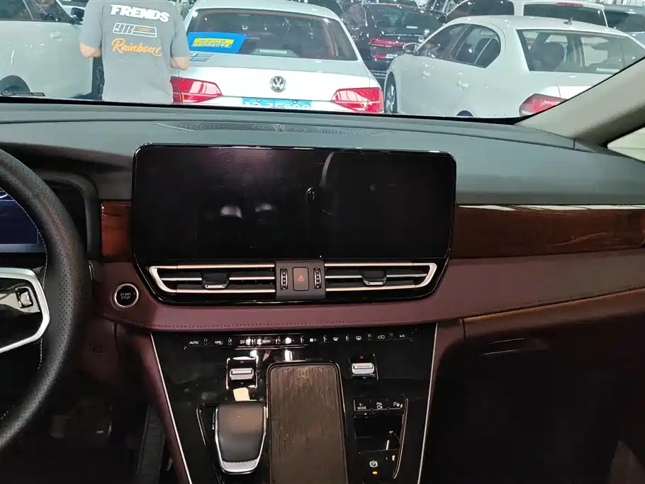 Hongqi HQ9 PHEV 2024 Model 2.0T AWD Luxury Edition фото 13