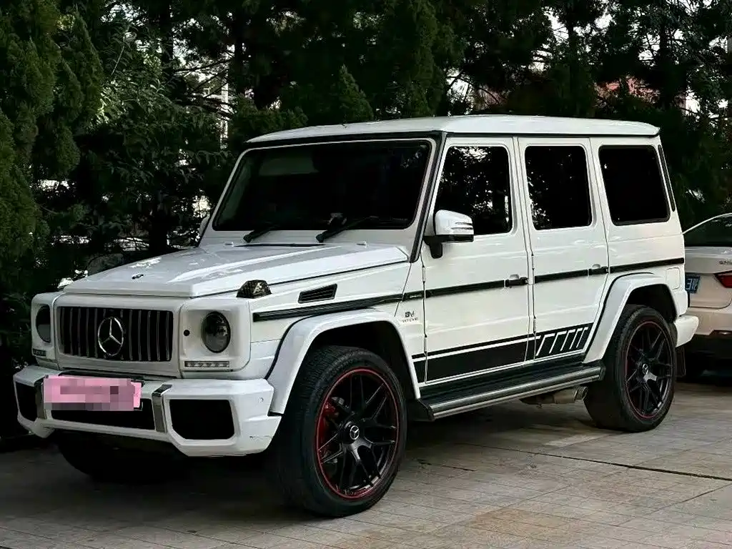 Mercedes-Benz G-Class 2016 G 500 фото 5