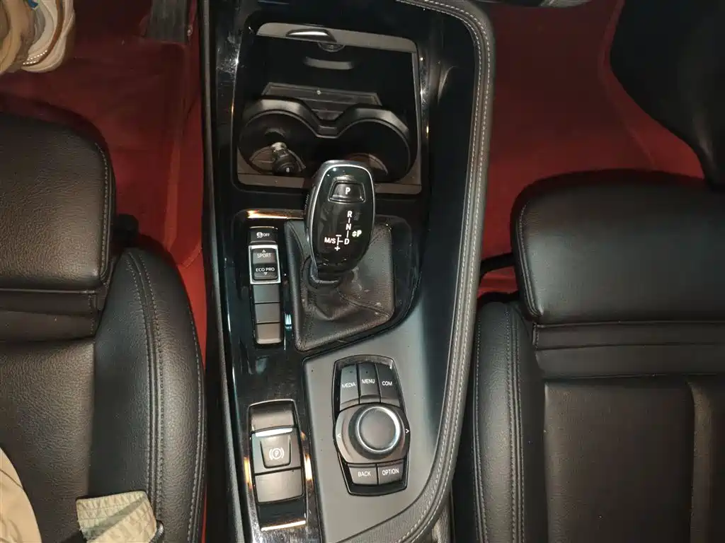 BMW X2 (Import) 2019 sDrive20i M Off-Road Package China VI фото 10