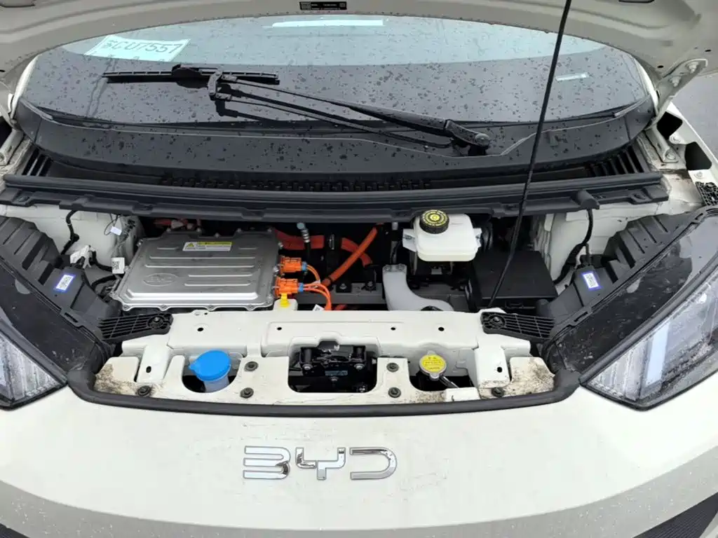 Photo 20 - BYD Seagull