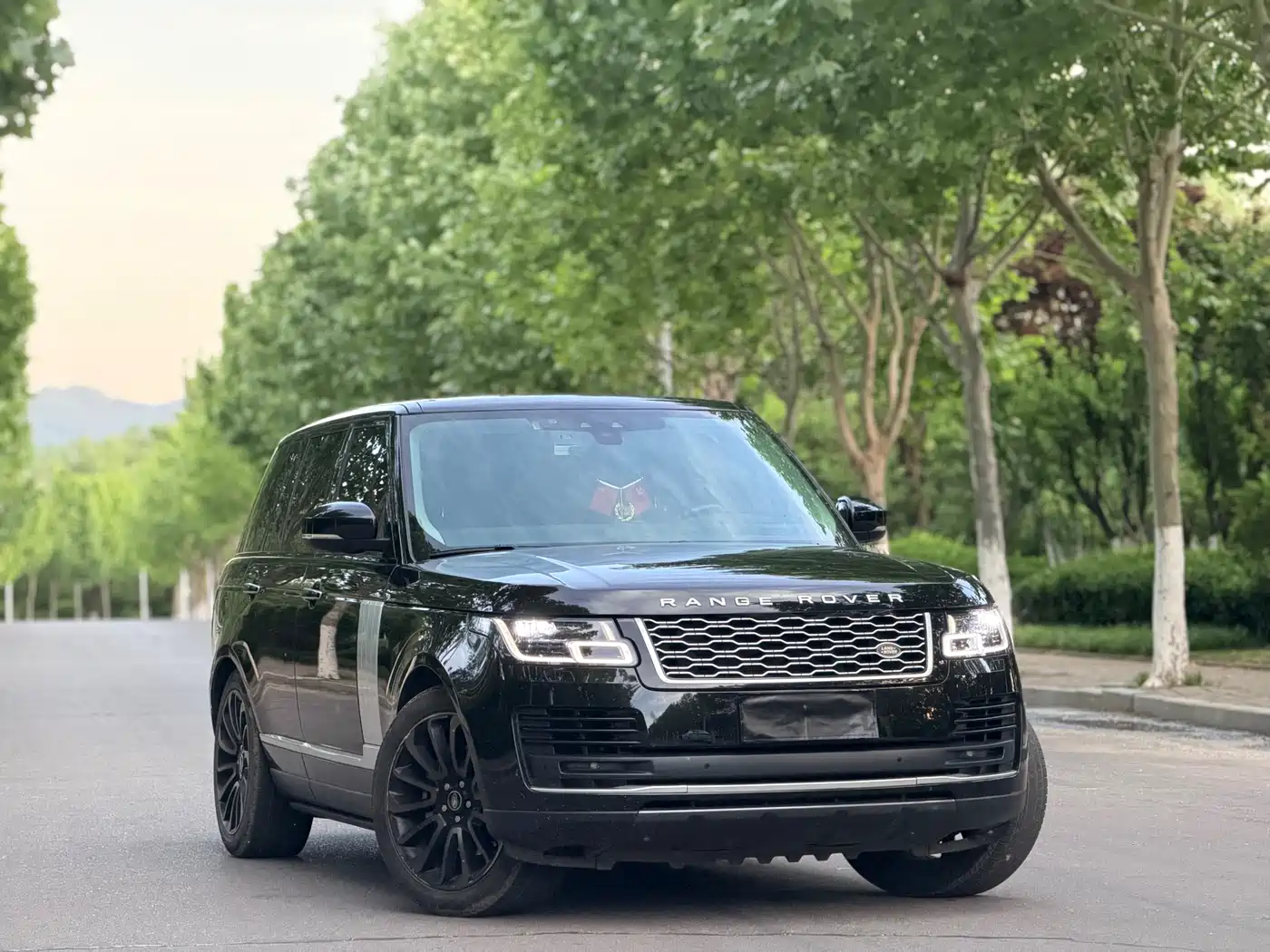Land Rover Range Rover 2022 3.0 L6 360PS Golden Age Edition фото 3