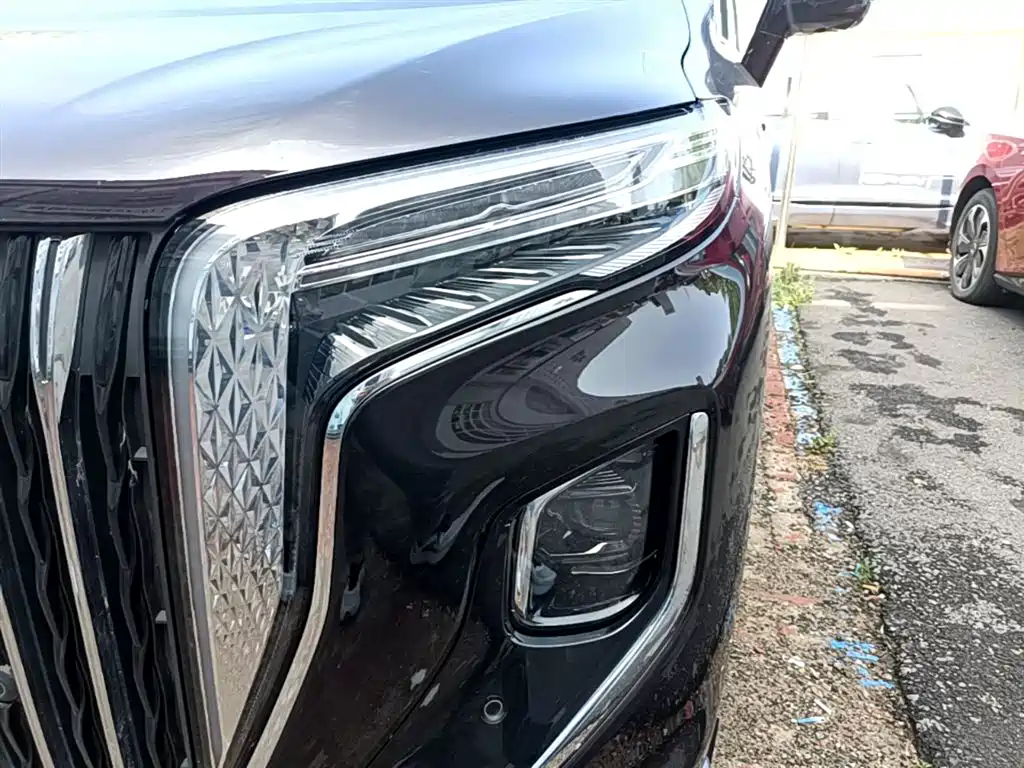 Hongqi HQ9 PHEV 2024 Model 2.0T AWD Luxury Edition фото 24