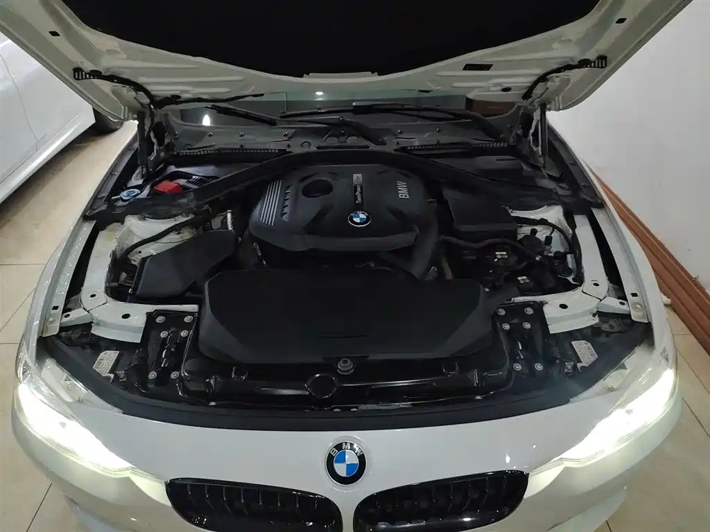 BMW 3 Series 2019 320Li Fashion Type фото 20