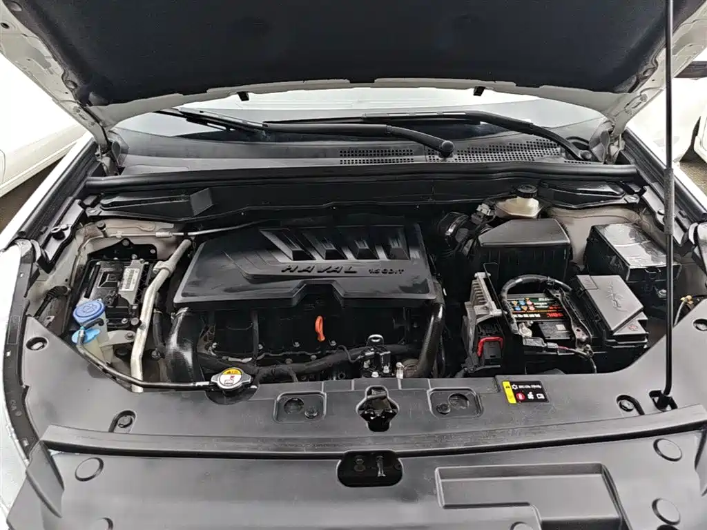 Haval H6 Coupe 2018 Red Label 1.5T Auto 2WD Ultra Luxury фото 20