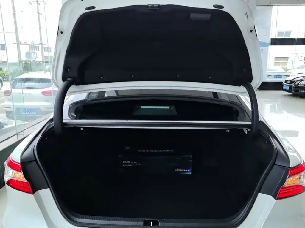 Toyota Camry 2024 2023 2.0G Luxury Edition