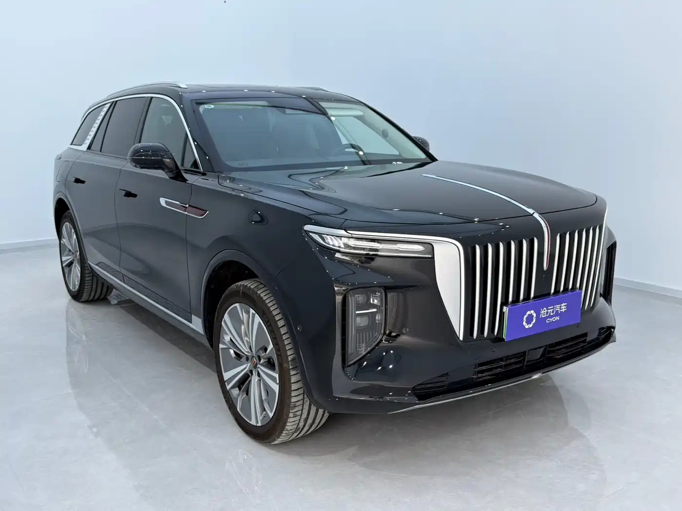 Hongqi E-HS9 2022 660km Qi Chang Edition (6-seater) фото 3
