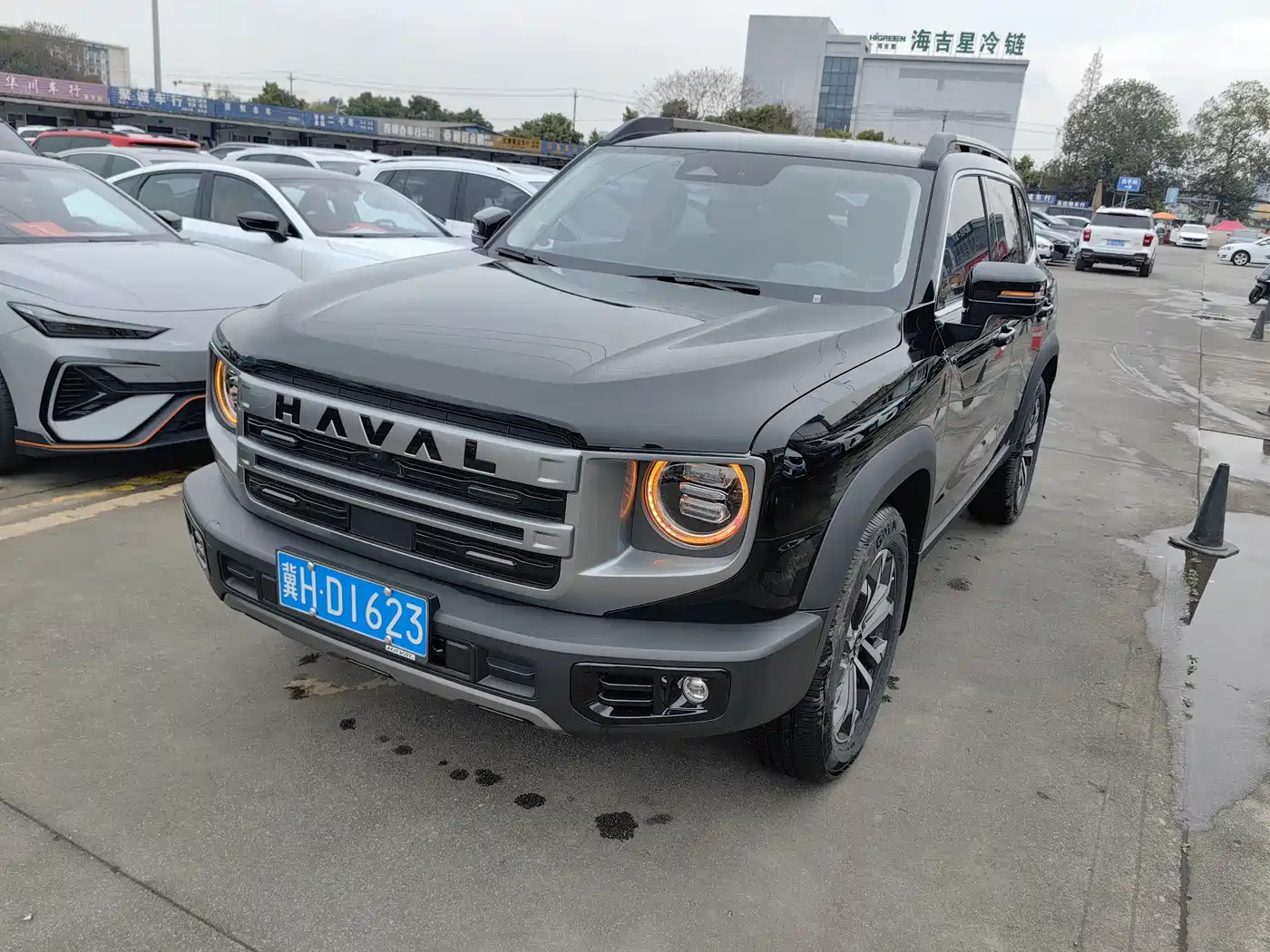 HAVAL BIG DOG