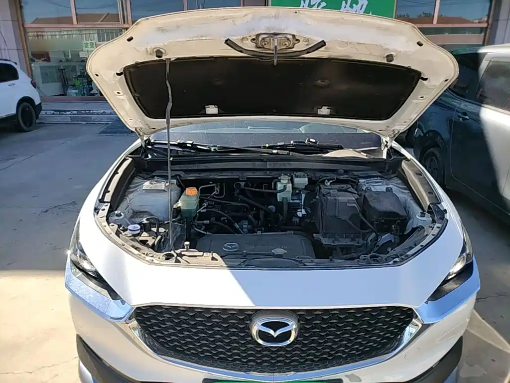 Mazda CX-30 EV 2023 2021 Pure Electric Enjoyment Edition