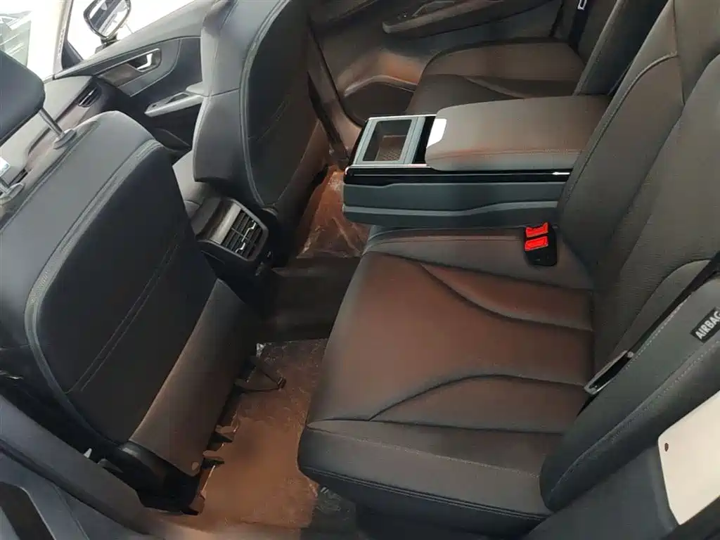 Hongqi E-QM5 2023 Facelift Basic Travel Edition фото 13