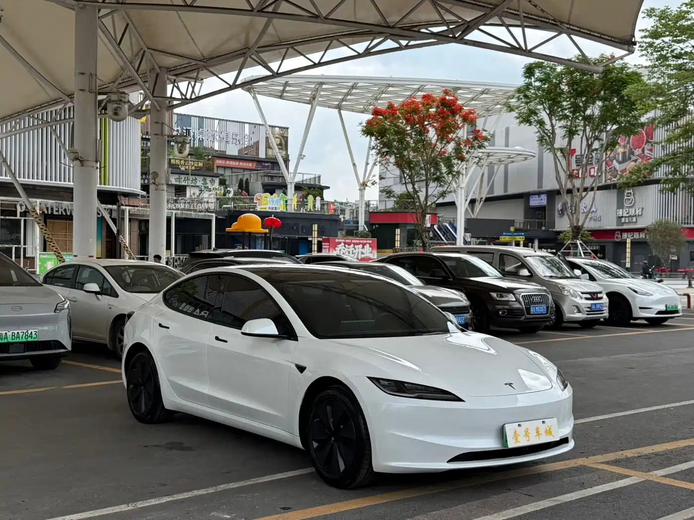 Tesla Model 3 2025 Model Rear-Wheel Drive Edition фото 3