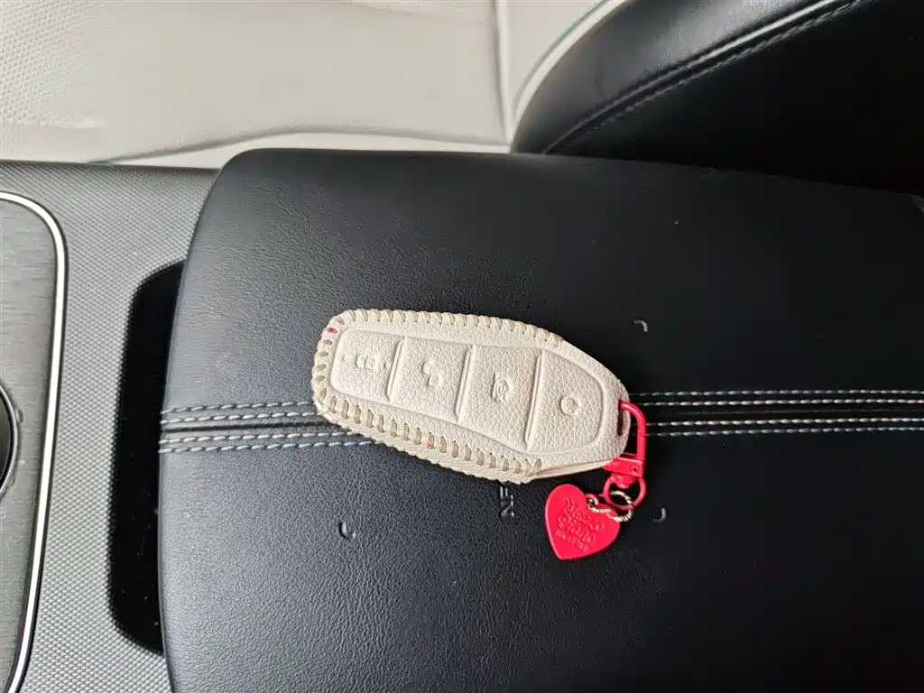 BYD Destroyer 05 2024 Glory Edition DM-i 55KM Luxury фото 17