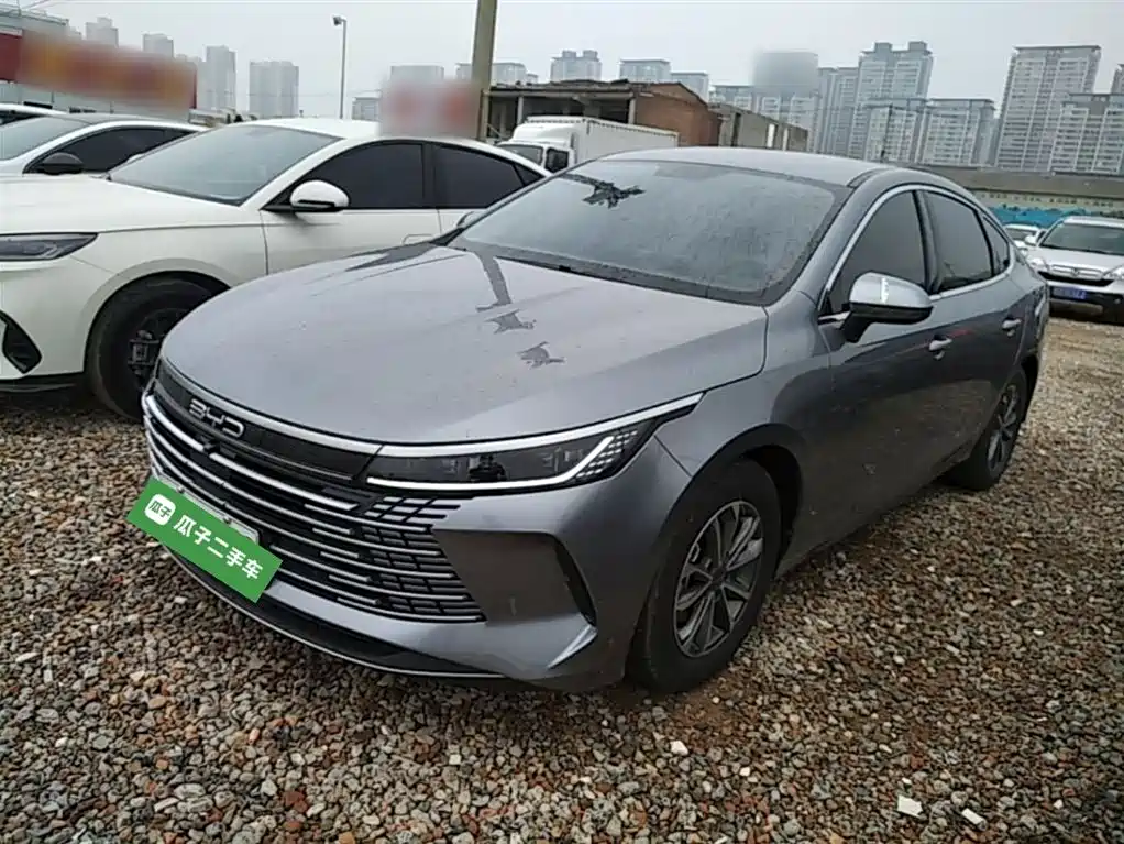 BYD Destroyer 05 2024 Glory Edition DM-i 55KM Luxury