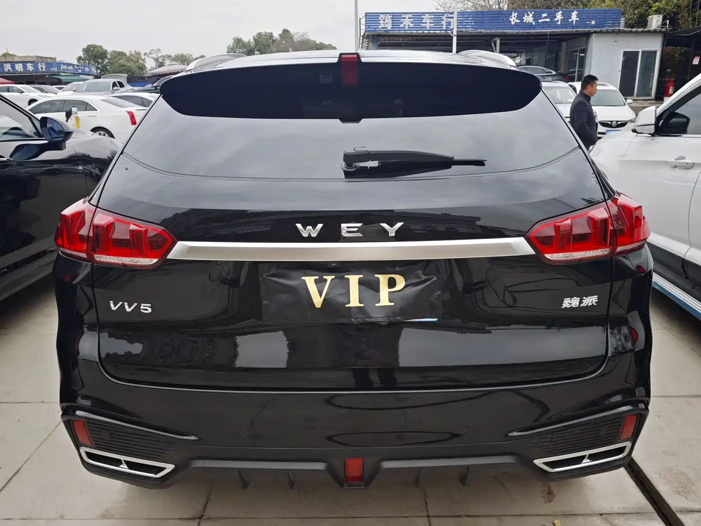 WEI PAI WEI BRAND VV5