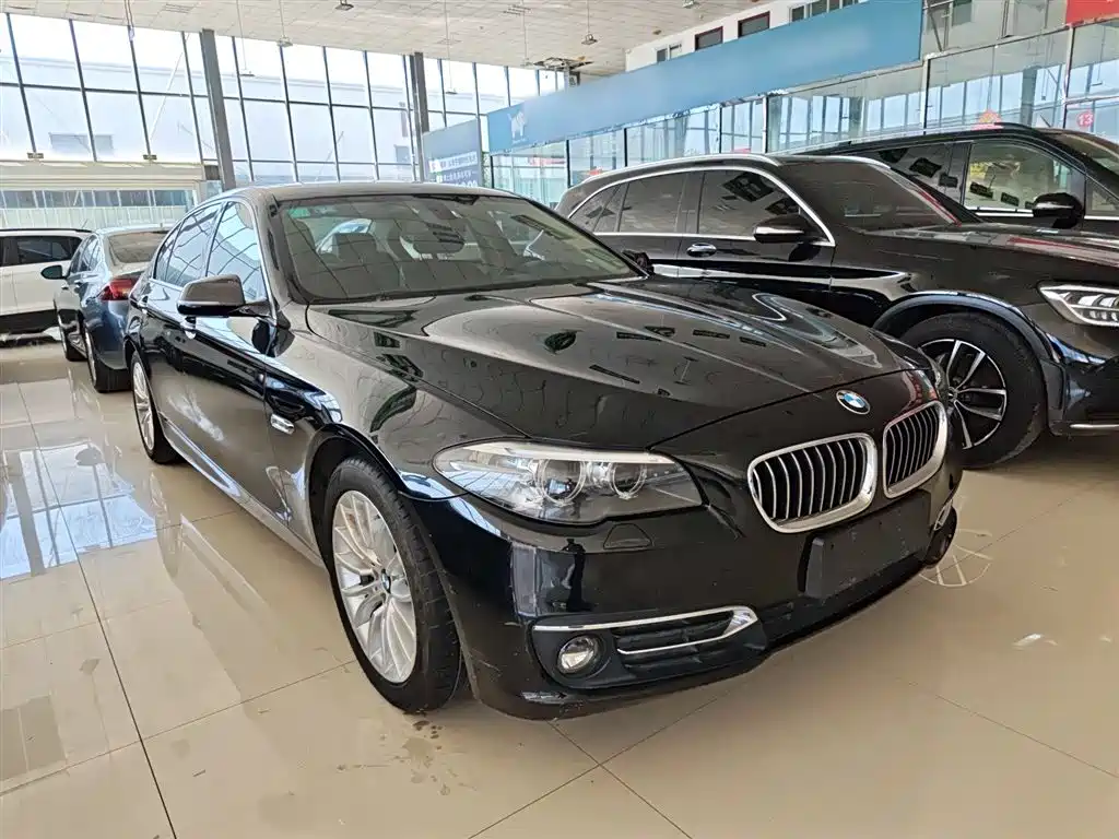 BMW 5 Series 2017 525Li Luxury Design Package фото 22