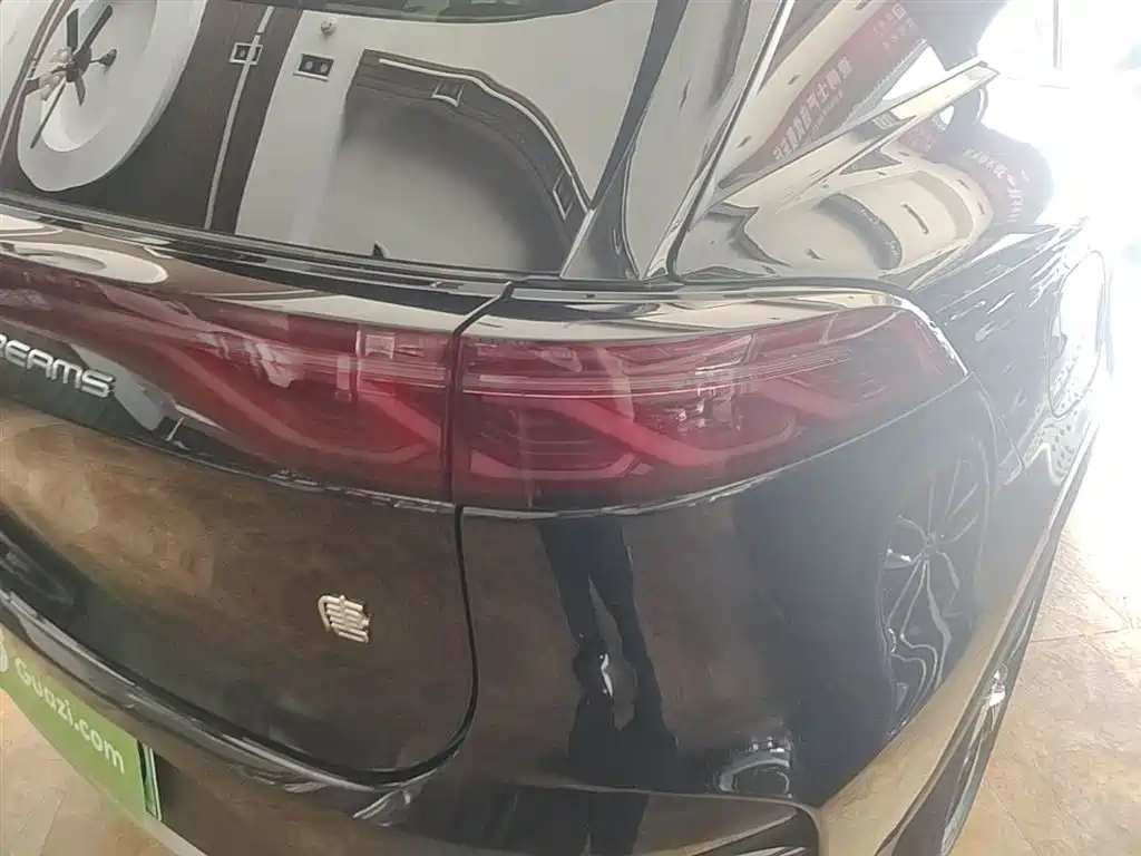 BYD Tang New Energy 2024 DM-i Honor Edition 112KM Premium фото 8