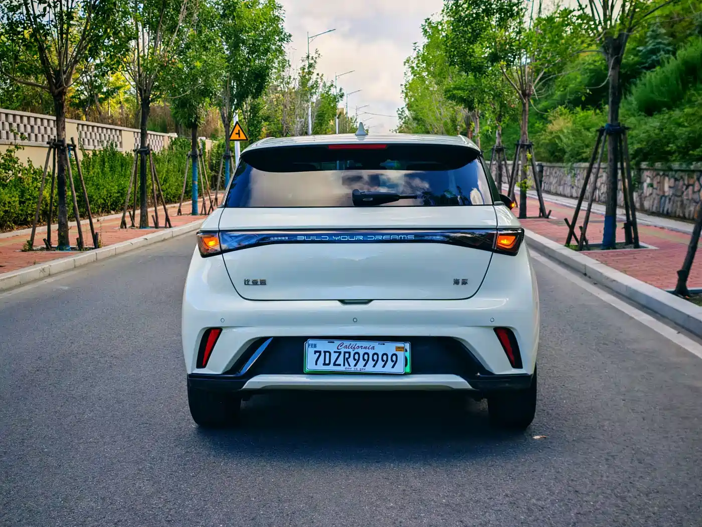 Фото 3 - BYD Dolphin