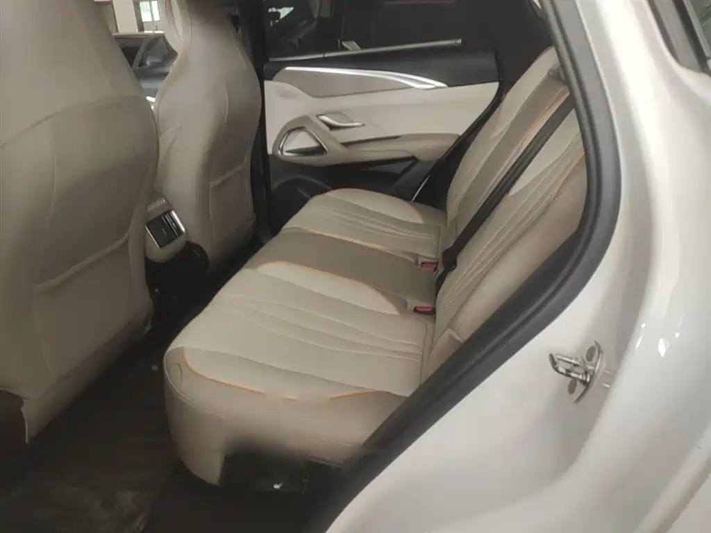 BYD Song Pro New Energy 2024 Glory Edition DM-i 71KM Pilot фото 17