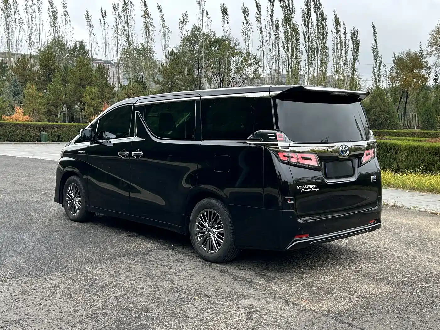 Toyota Vellfire 2019 Hybrid 2.5L HV Premium Edition фото 13