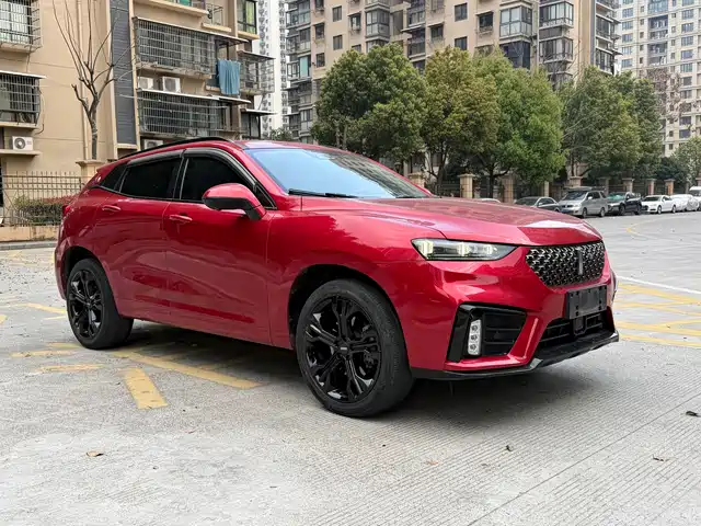 WEI PAI WEI BRAND VV7