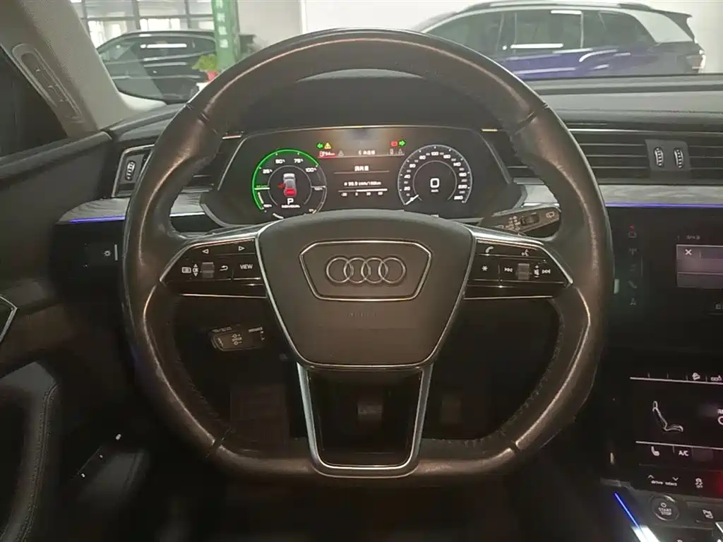 Audi e-tron (Import) 2019 55 quattro Technology фото 11