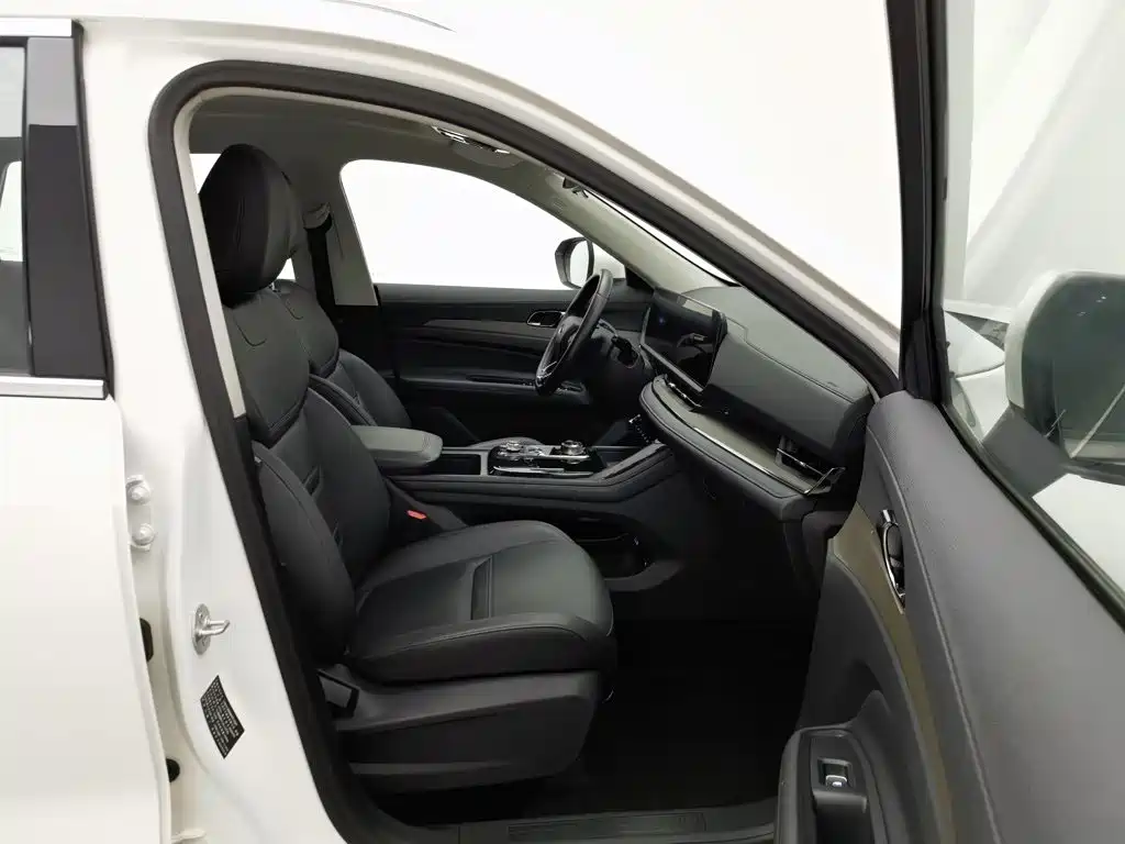 Ford Lingrui 2022 2022 EcoBoost 170 Platinum