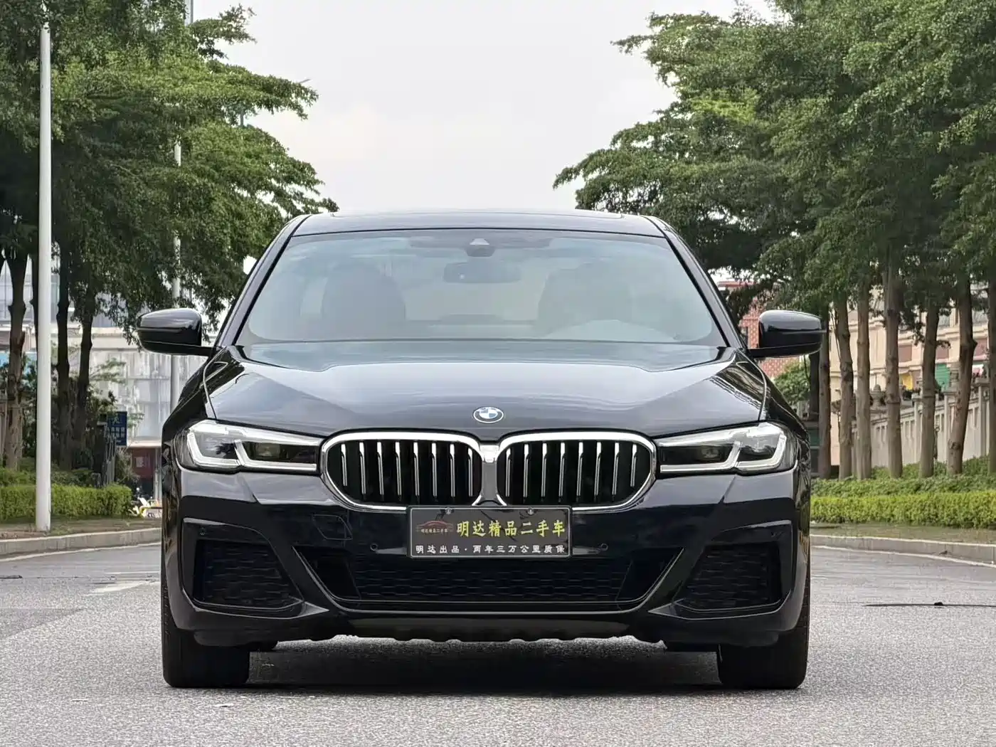 BMW 5 Series 2021 530Li xDrive M Sport Package фото 2