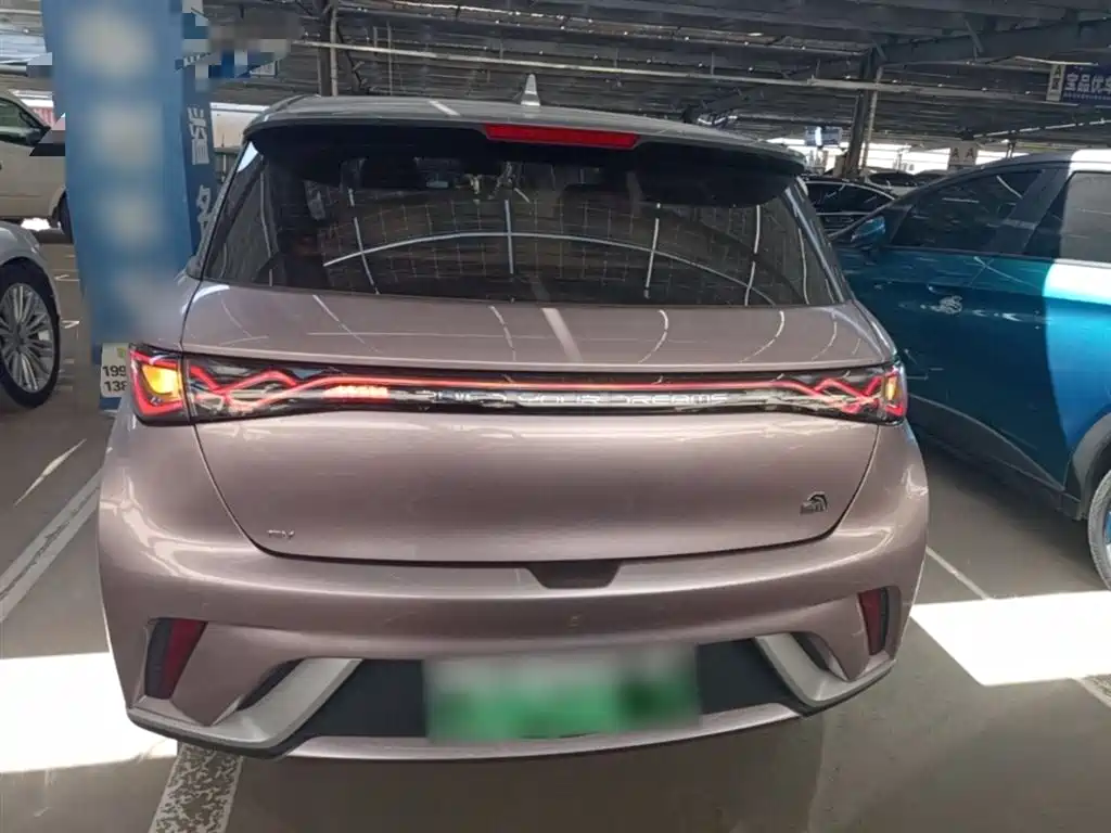 BYD Dolphin 2021 Model 405km Fashion Edition фото 6
