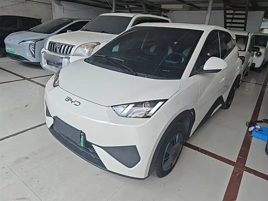BYD Seagull 2025 Smart Drive Edition 305km Vitality Version
