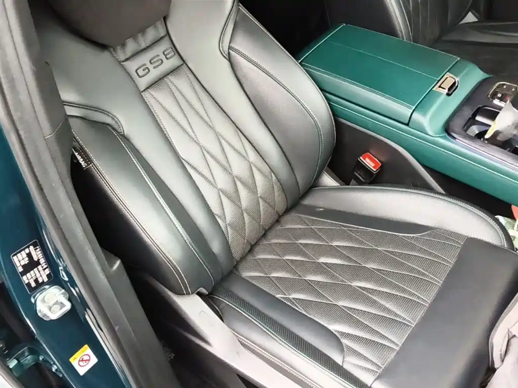 GAC Trumpchi Trumpchi GS8 2022 Dual Engine Series 2.0TM 4WD Premium Edition (6-Seater) фото 25