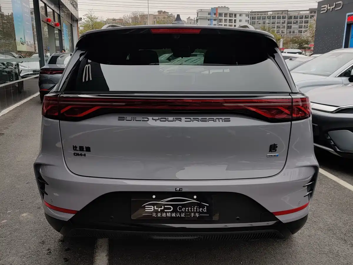BYD Tang New Energy 2025 Smart Driving Edition DM-i 115KM Flagship фото 9