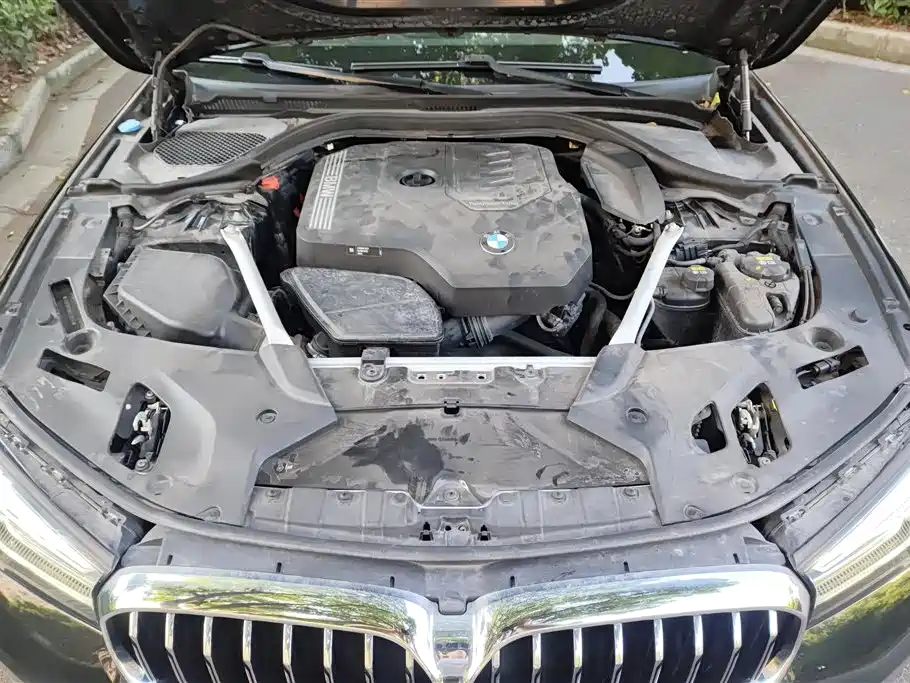 BMW 5 Series 2022 530Li Leading Luxury Package фото 10