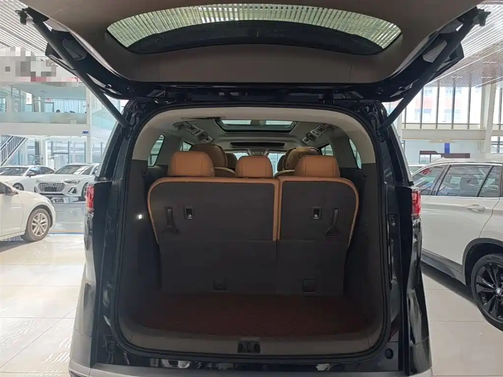 Denza D9 2022 DM-i 970 All-Wheel Drive Honor Edition фото 19