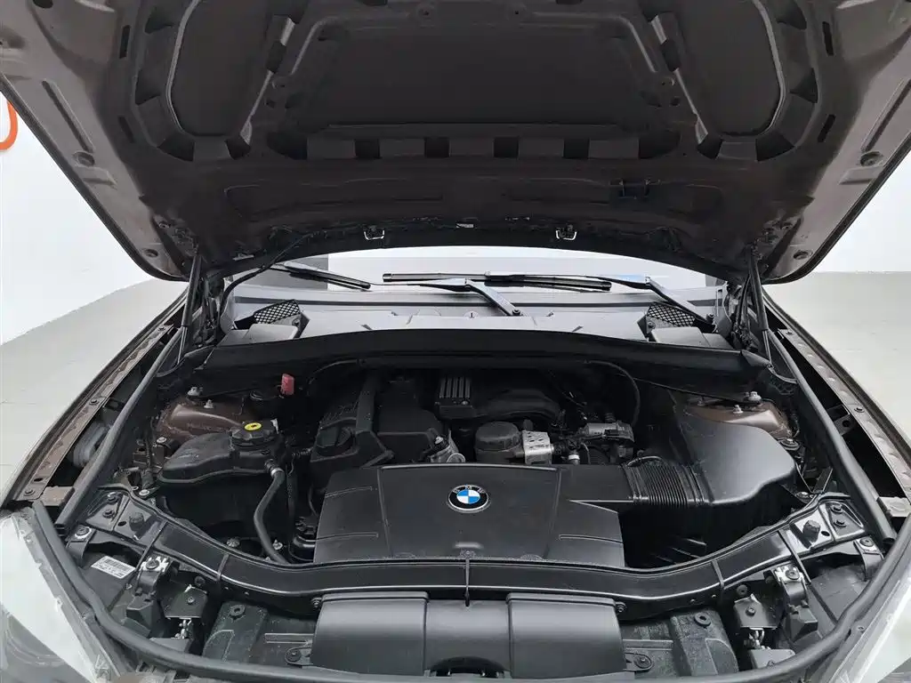 BMW X1 (Import) 2010 sDrive18i Luxury Model фото 6