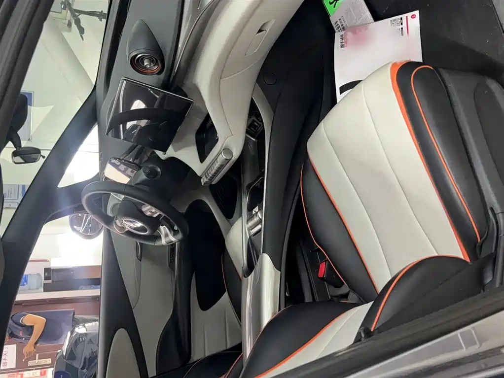BYD Dolphin 2021 Model 405km Fashion Edition фото 12